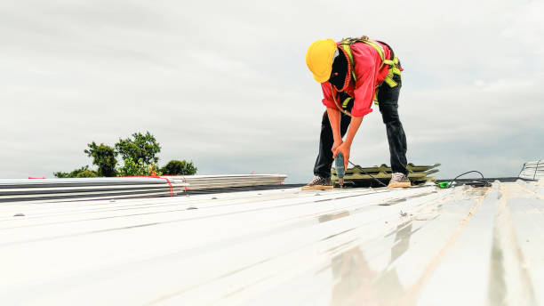 Best Roof Moss and Algae Removal  in Payson, UT