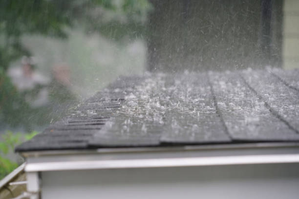Best Asphalt Shingle Roofing  in Payson, UT